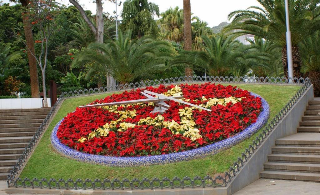 Santa Cruz De Tenerife Toscal Exterior photo