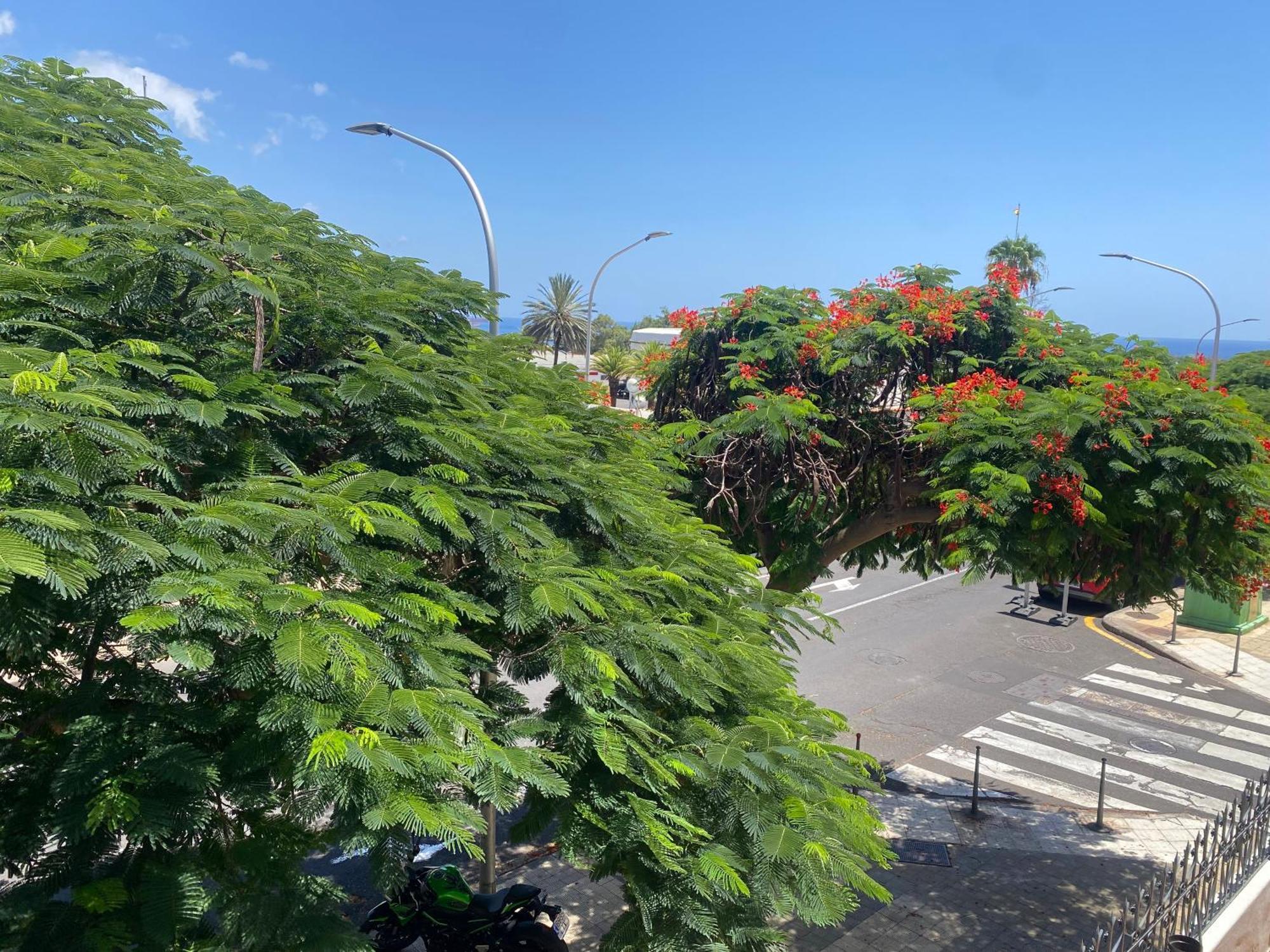 Santa Cruz De Tenerife Toscal Exterior photo